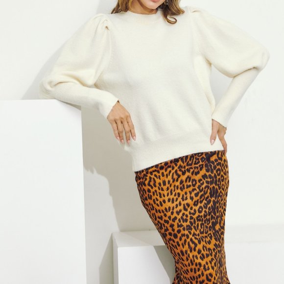 Lantern Sleeve Crewneck Ribbed Trim Sweater - Picture 2 of 6